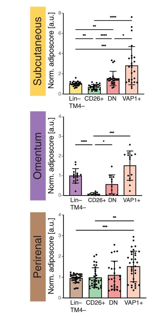 Open access visualization of Bar Plot, Scatter Plot, Error Bars, Adiposcores, Fluorescence Microscopy