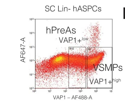 Open access visualization of Scatter Plot, Flow Cytometry, Lin- Cells, VAP1+lowhPreAs, VAP1+highVSMPs