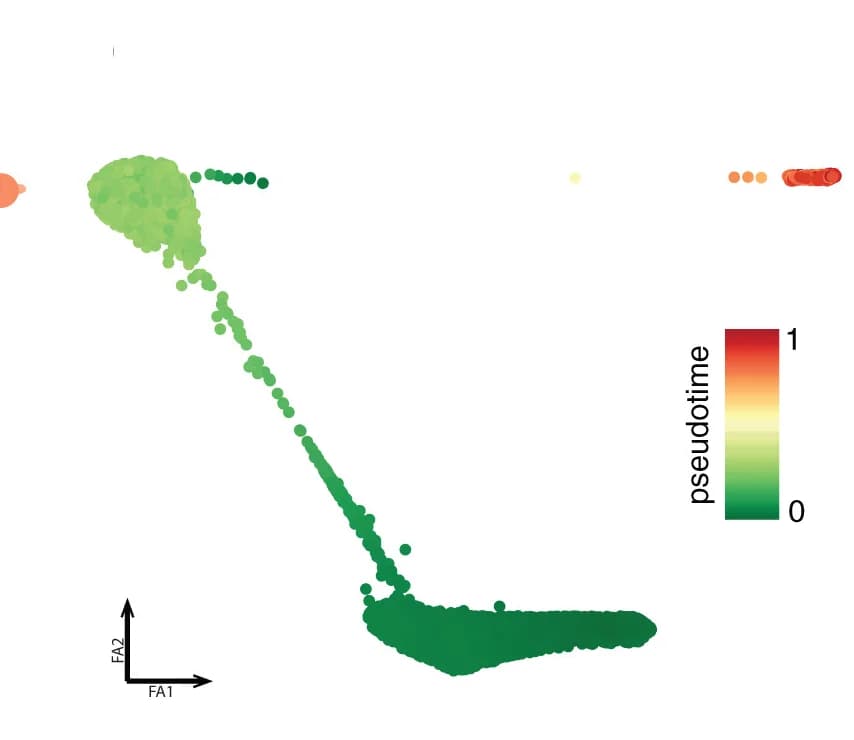 Open access visualization of Scatter Plot, UMAP, PCA, PAGA Trajectory, Pseudotime