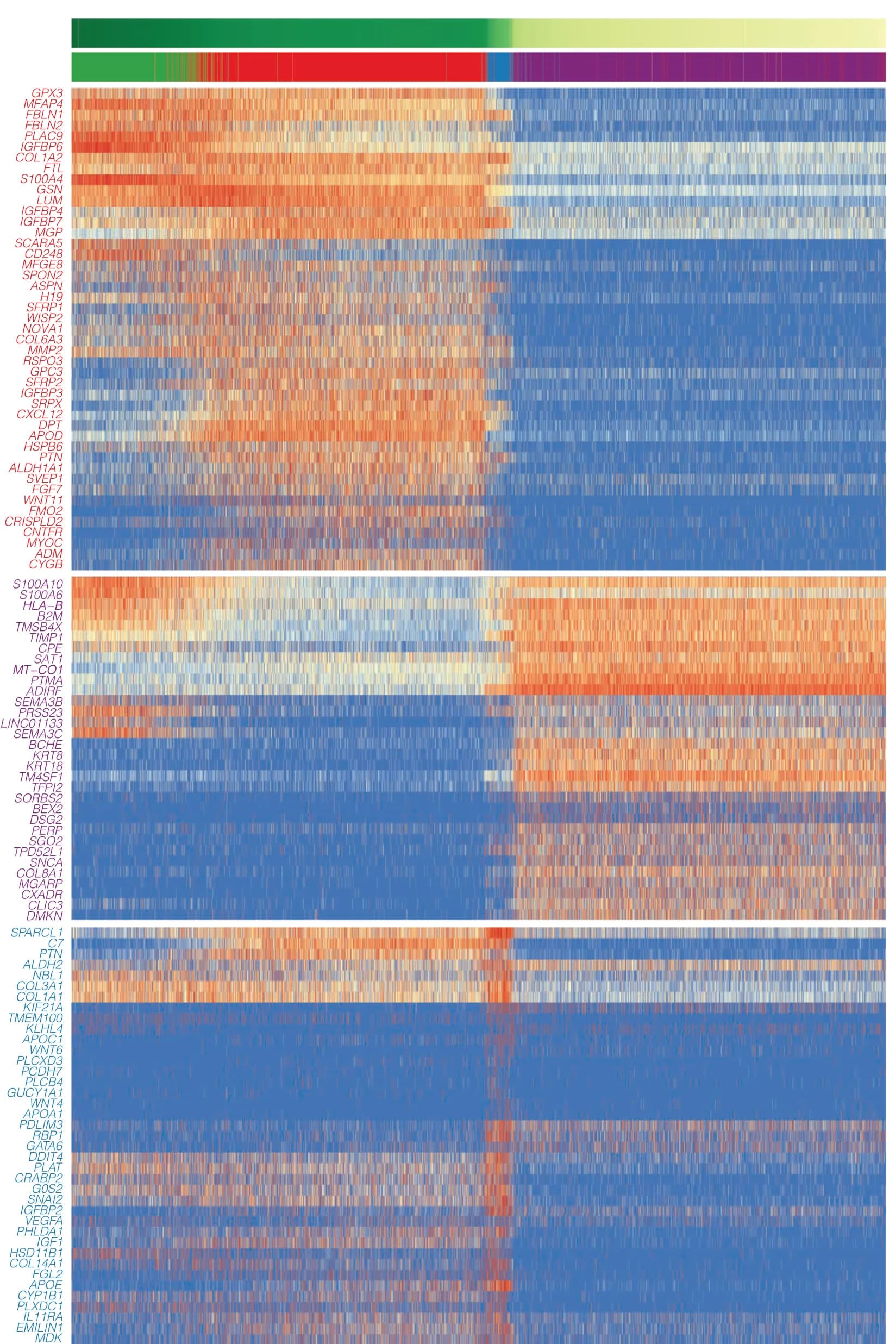Open access visualization of Heatmap, Gene Expression, Pseudotime, hASPCs, Mesothelial Cells