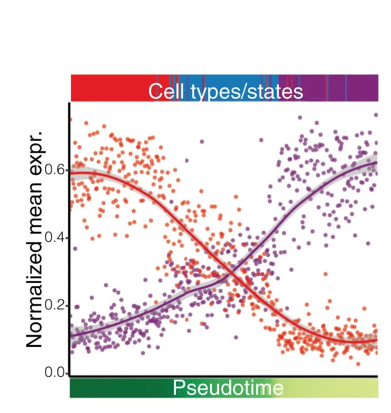 Open access visualization of Scatter Plot, Line Plot, Regression Plot, Gene Expression, Pseudotime