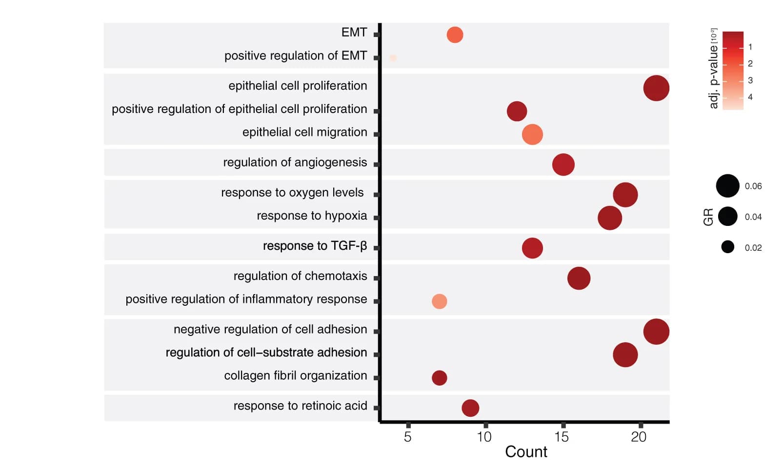 Open access visualization of Bubble Plot, Dot Plot, GO Terms, IGFBP2+ Cell Markers