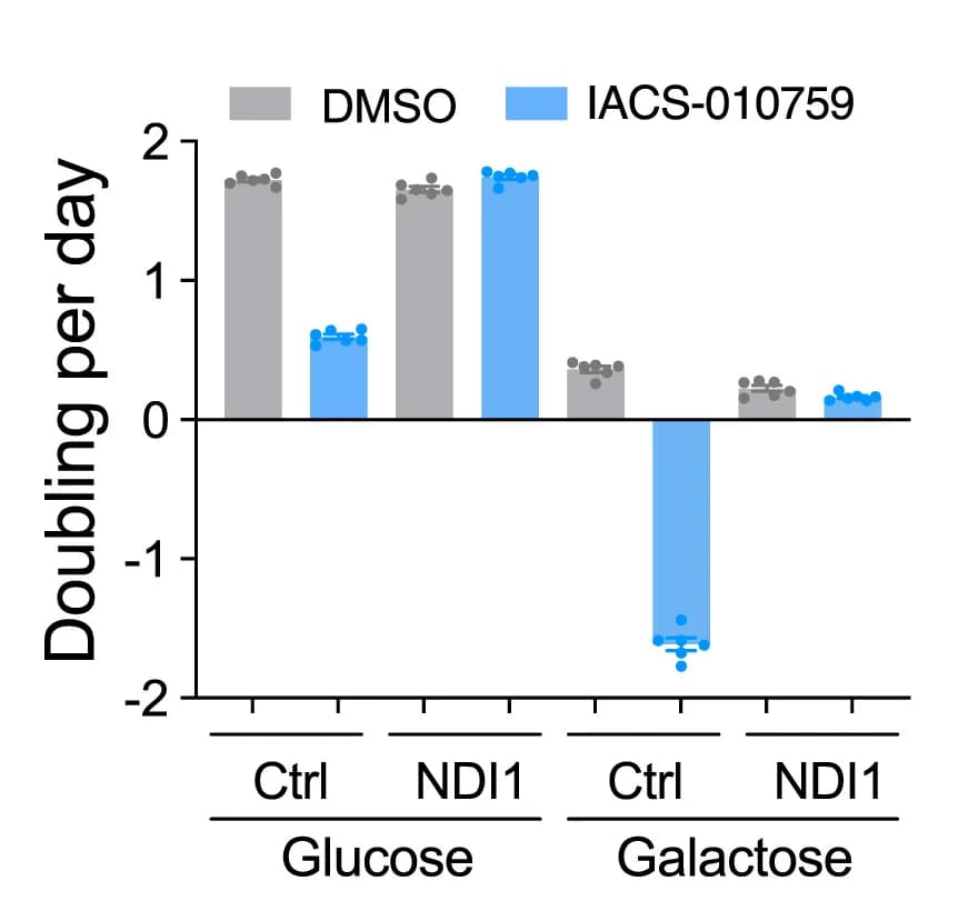 Open access visualization of Bar Plot, Error Bars, Growth Rates, NDI1-Expressing Cells, Glucose