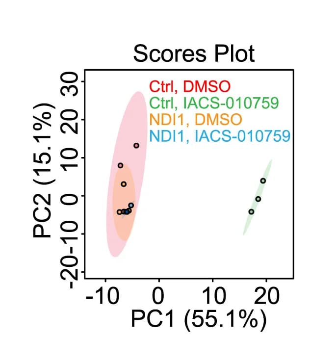 Open access visualization of Scatter Plot, PCA, Principal Component Analysis, Metabolomic Profiles, NDI1-Expressing H460 Cells