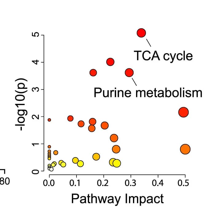 Open access visualization of Scatter Plot, Bubble Plot, Metabolic Pathway Analysis, Differentially Abundant Metabolites, UQCRC2-Depleted H460 Cells