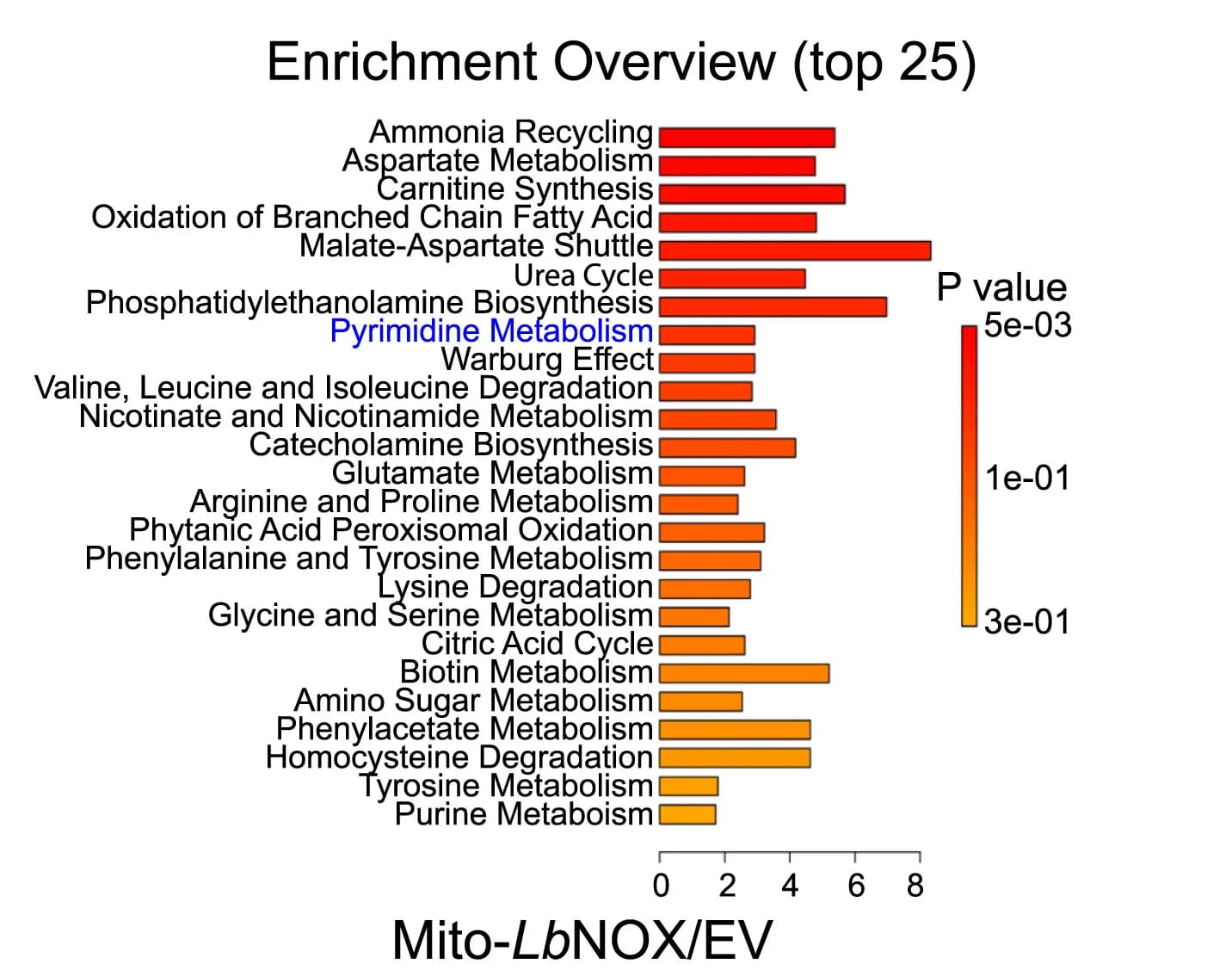 Open access visualization of Bar Plot, Metabolite Set Enrichment Analysis, UQCRC2−/− Cells, Empty Vector, Mito-LbNOX