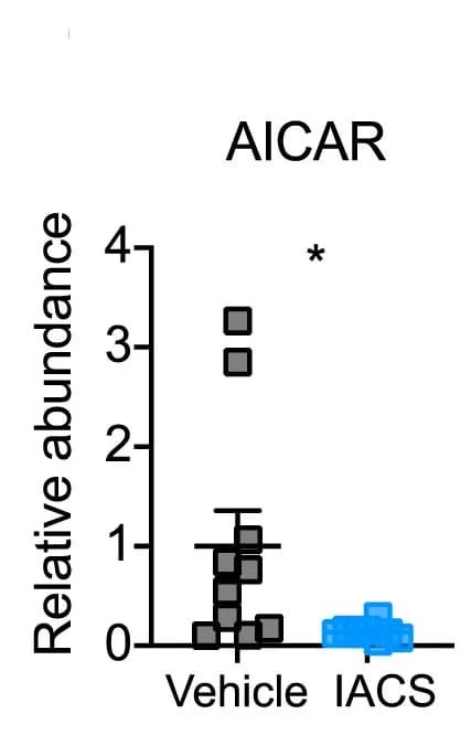 Open access visualization of Bar Plot, Error Bars, Relative abundance, AICAR, H460 Xenografts