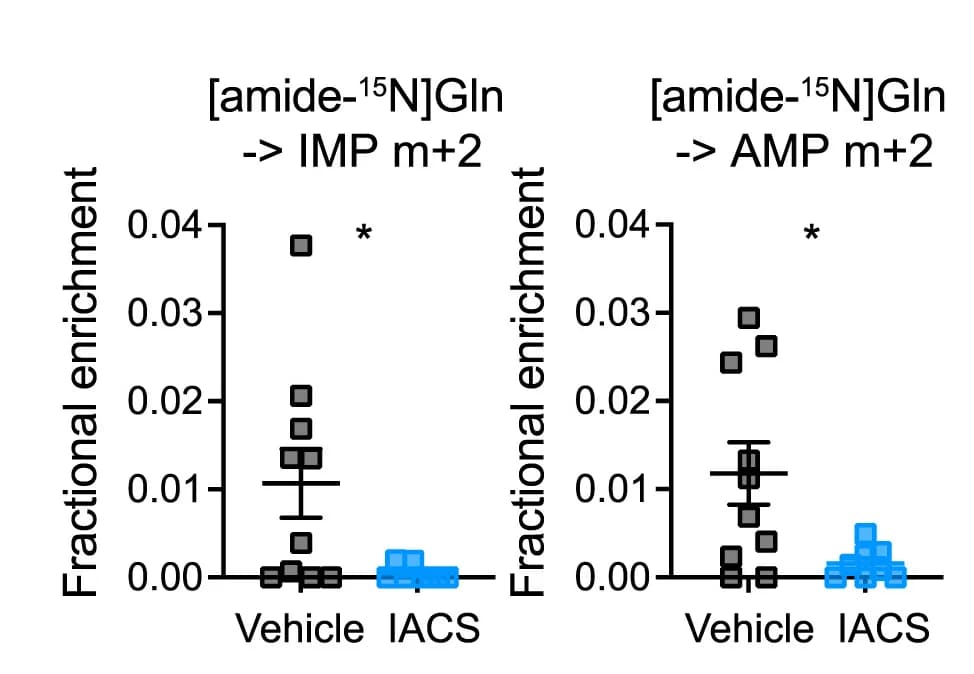 Open access visualization of Scatter Plot, Error Bars, Fractional Enrichment, Glutamine, IMP