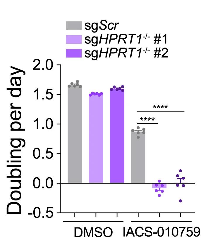 Open access visualization of Bar Plot, Scatter Plot, Error Bars, Cell Growth Rates, H460 Cells