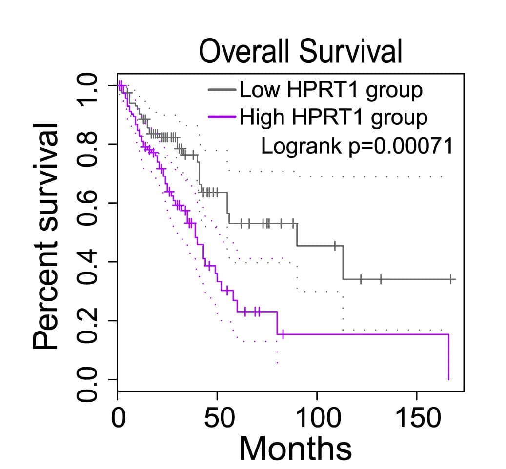 Open access visualization of Survival Curve, Line Step, Kaplan-Meier Plot, Overall Survival, LUAD Patients