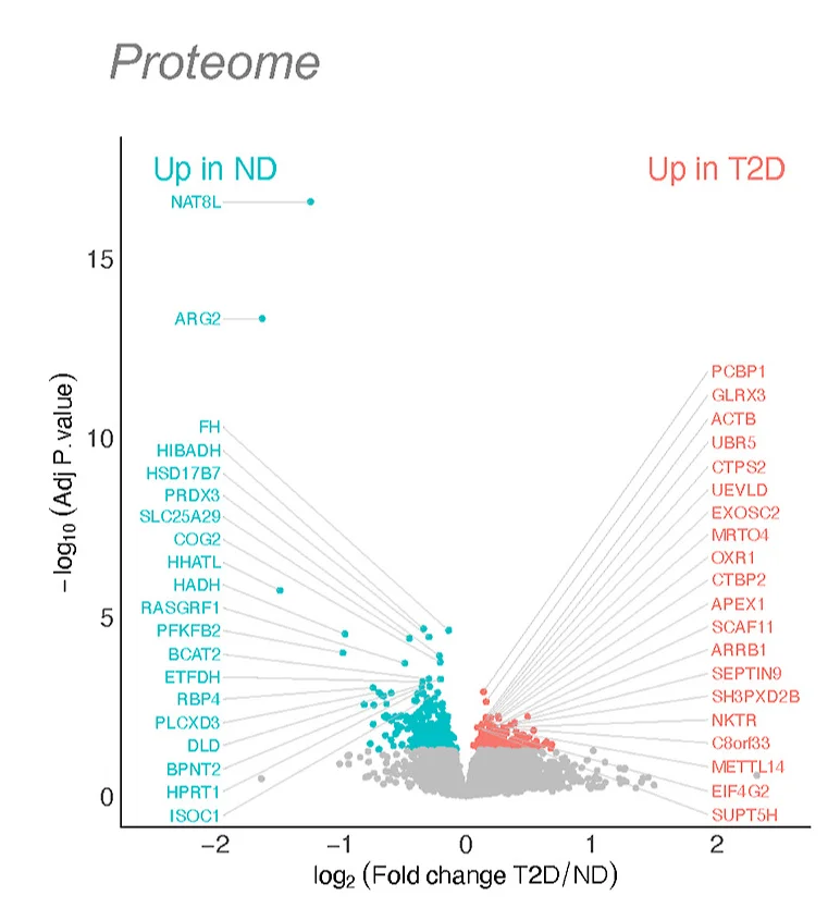 Open access visualization of Volcano Plot, Scatter Plot, Mass Spectrometry, Proteomics, Proteins