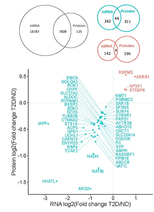 Open access visualization of Scatter Plot, Venn Diagram, Venn Diagrams, mRNAs, Proteins