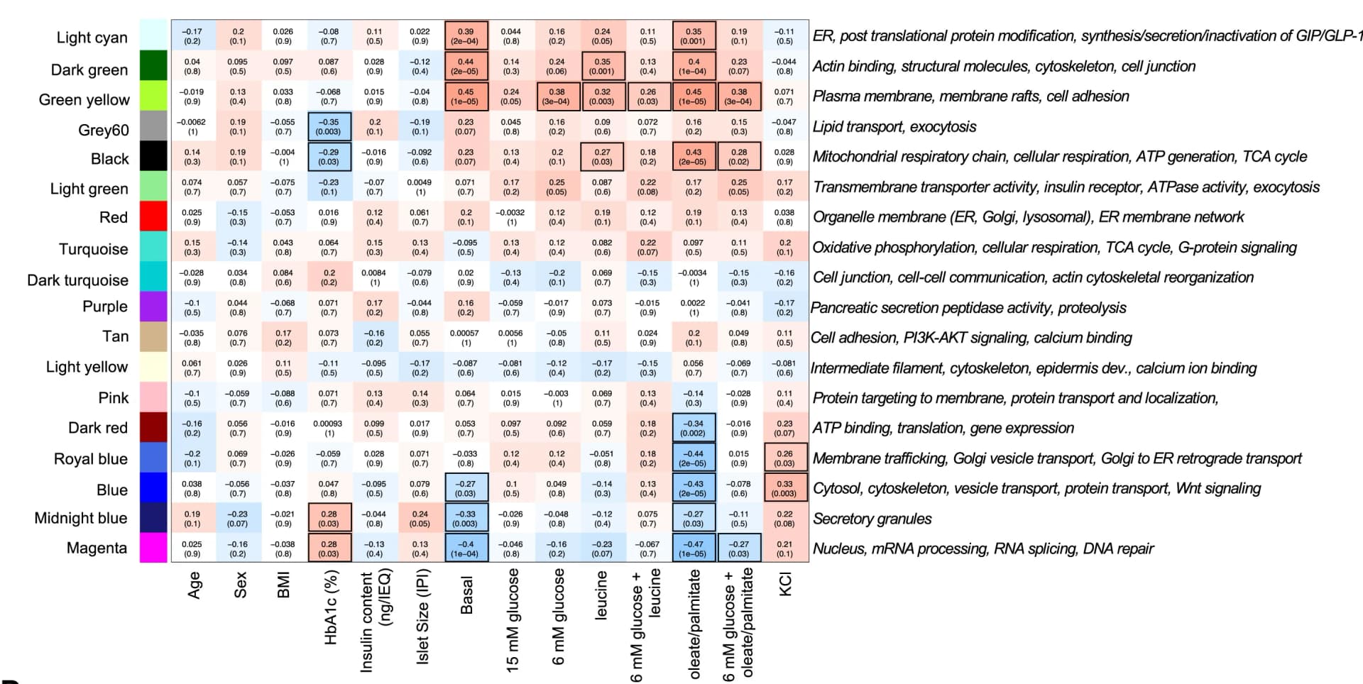 Open access visualization of Heatmap, Co-Correlation Analysis, Protein Modules, KEGG Pathways, GO Terms
