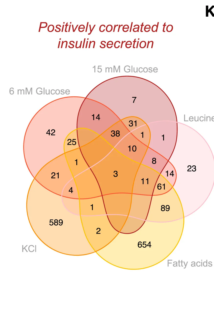 Open access visualization of Venn Diagram, Protein Abundance, Nutrient Stimuli, T2D