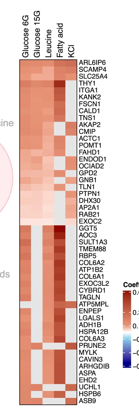 Open access visualization of Heatmap, Heat Map, Proteins, Stimuli