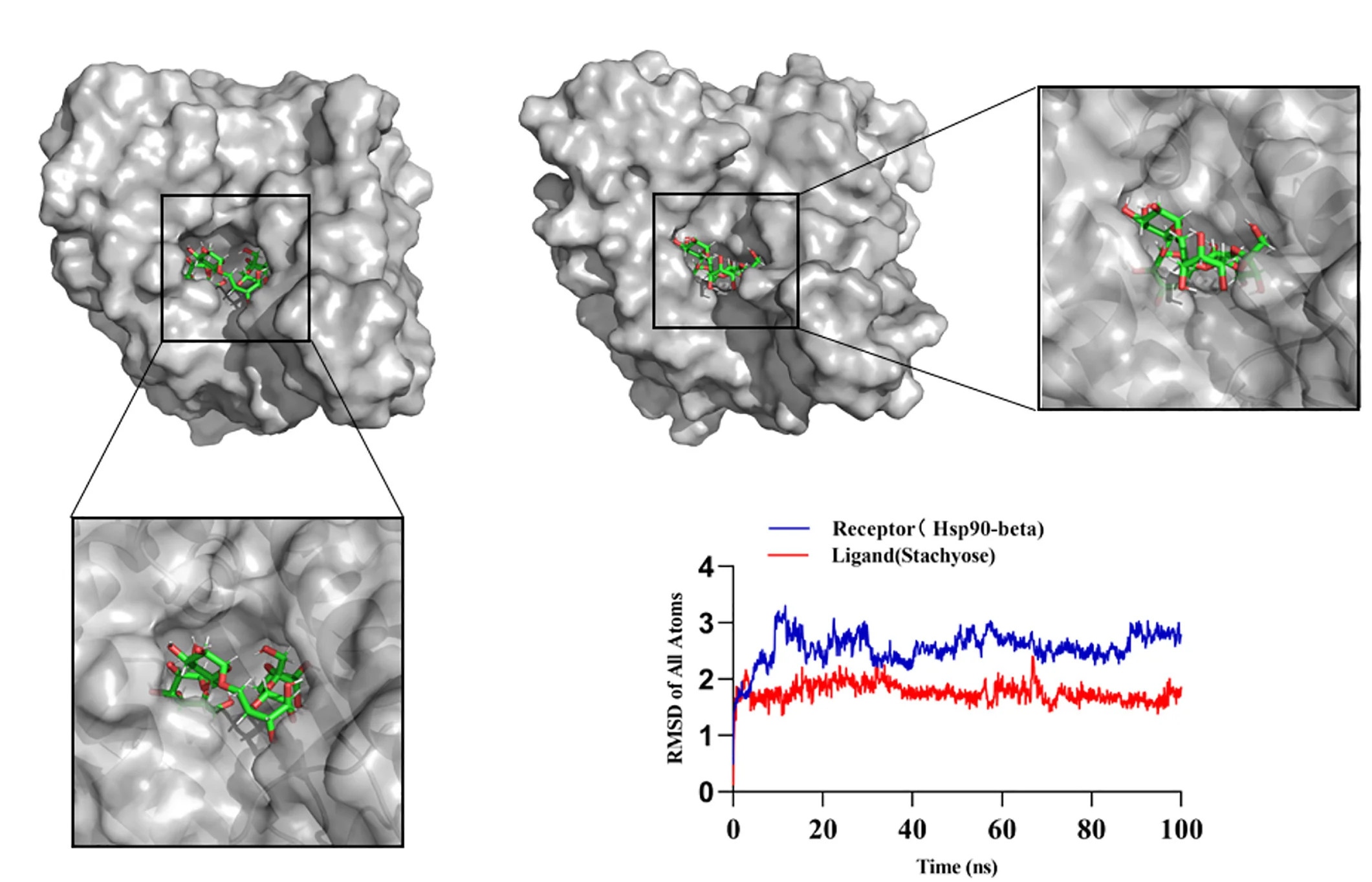 Open access visualization of Line Plot, Protein Structure, Molecular Dynamics Simulation, YASARA, Crystal Structure