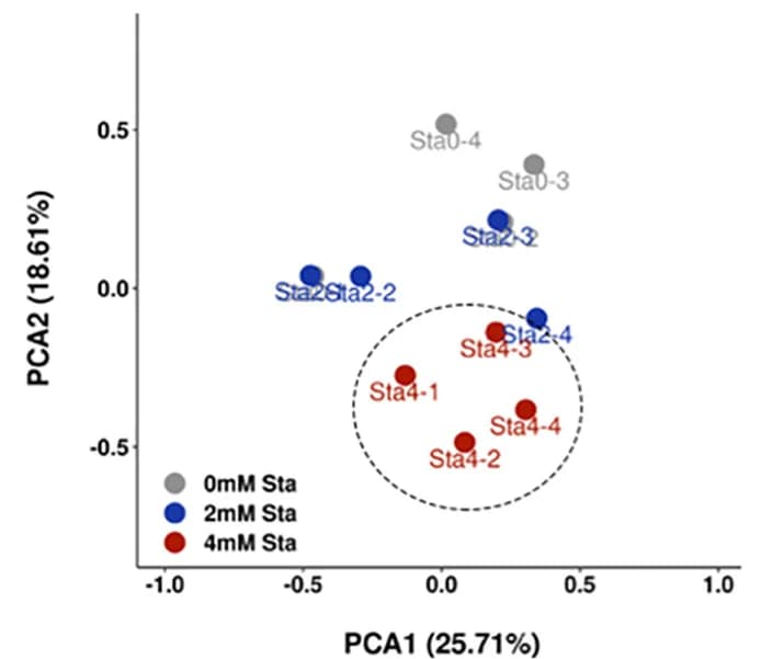 Open access visualization of Scatter Plot, PCA, OmicStudio Tools, R Package, ggplot2 Package