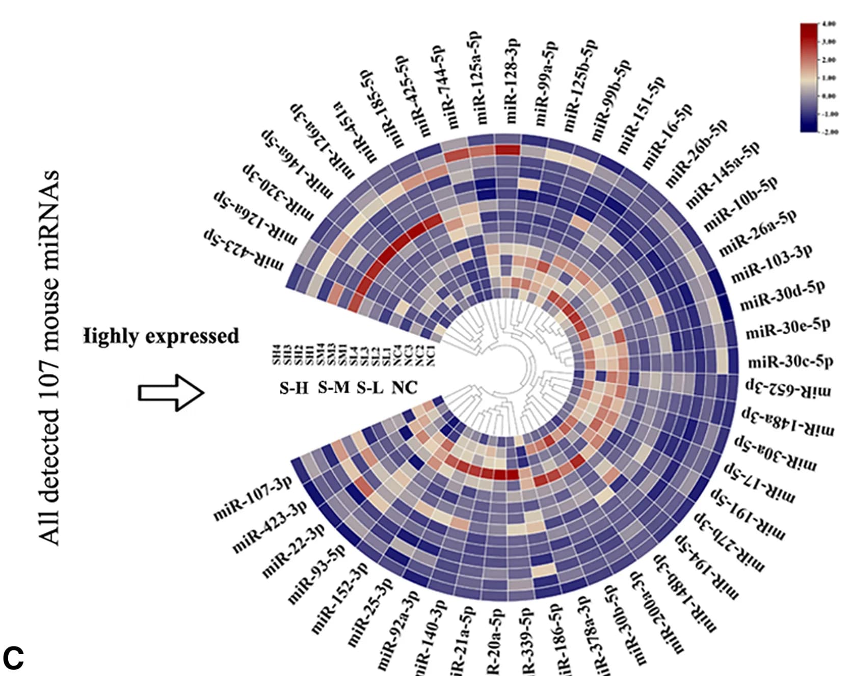 Open access visualization of Heatmap, Clustered, miRNAs, Mouse