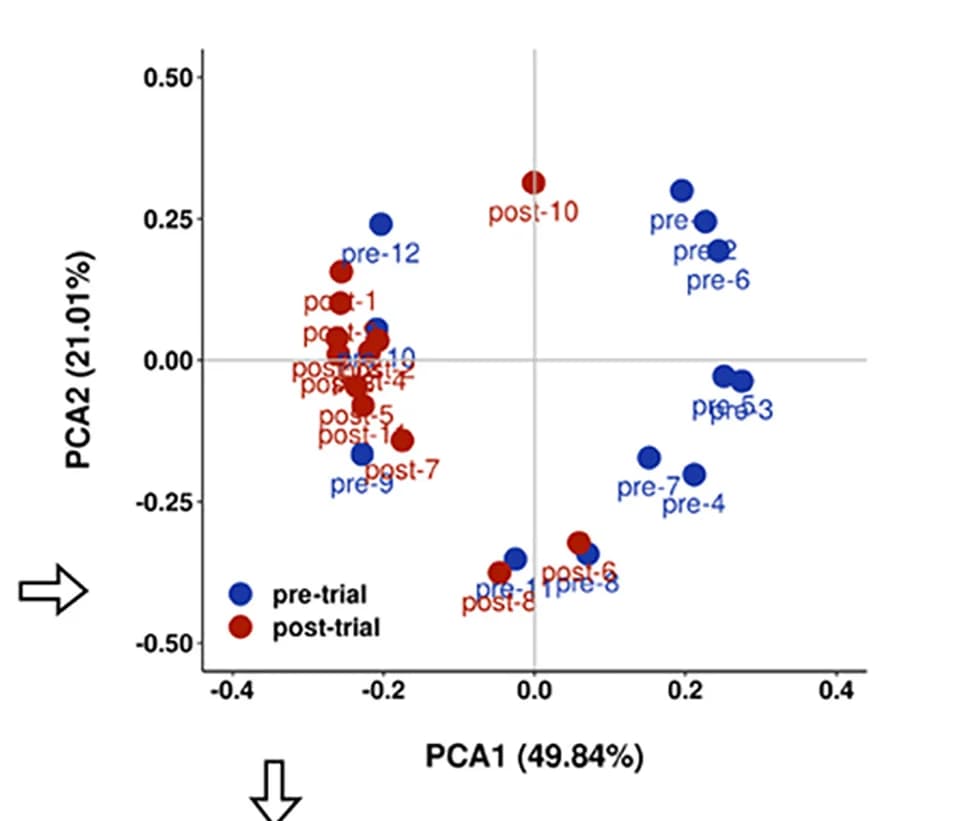Open access visualization of Scatter Plot, PCA, miRNAs, Human Feces, Small RNA Sequencing