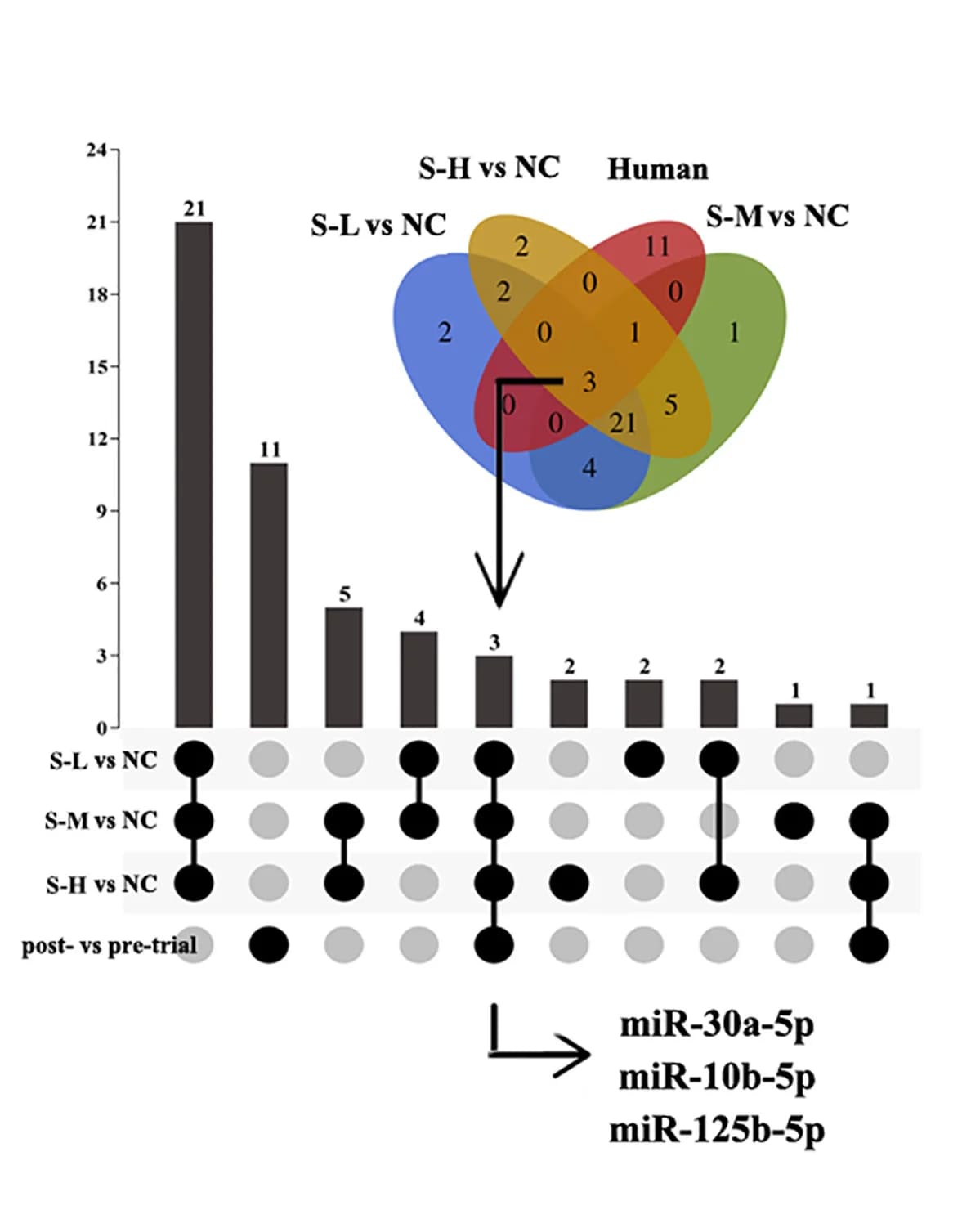 Open access visualization of Bar Plot, Venn Diagram, miRNAs, UpSetR Analysis, Venn Analysis