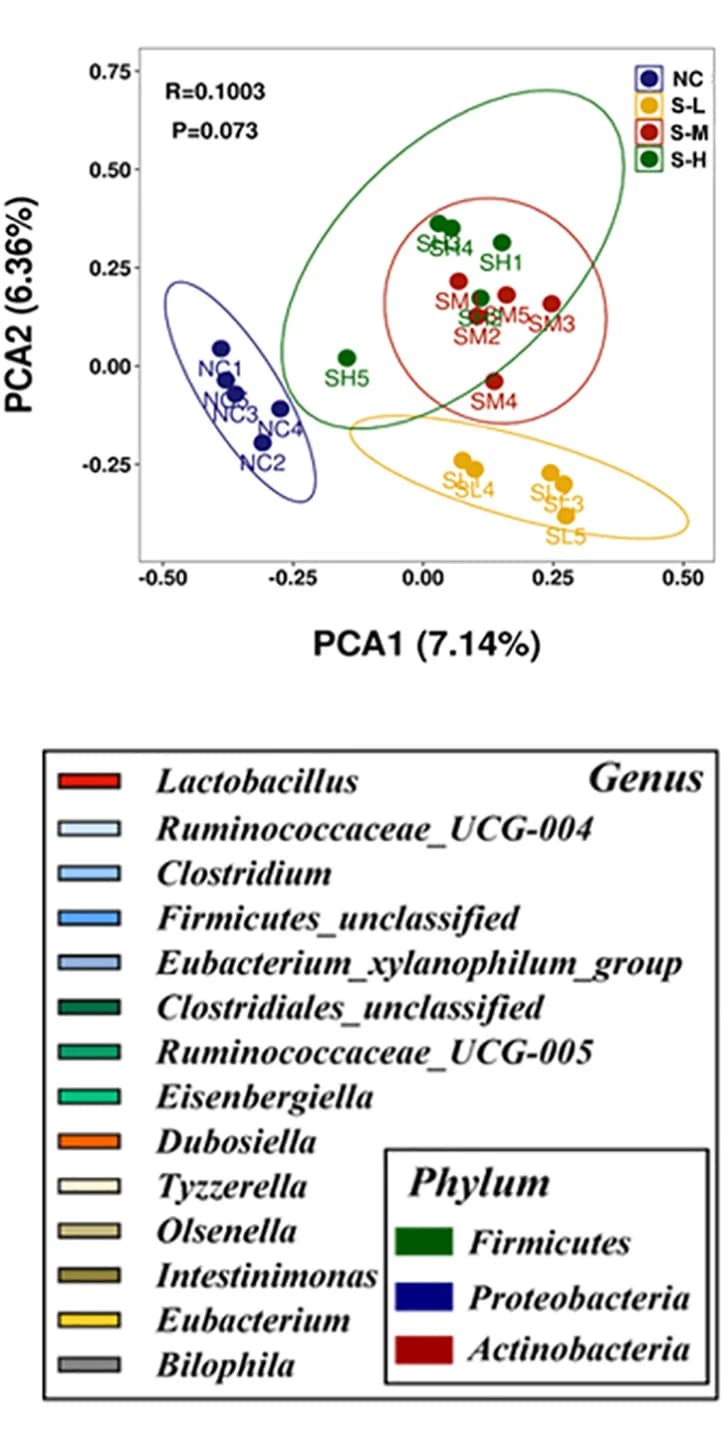 Open access visualization of Scatter Plot, PCA, Pie Chart, Mice, Feces