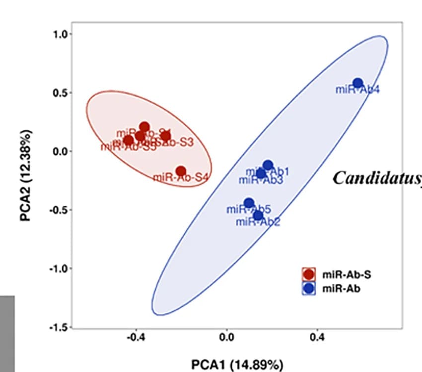 Open access visualization of Scatter Plot, PCA, Unweighted UniFrac Distance, Genera, Feces