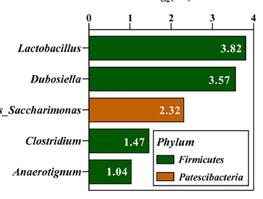 Open access visualization of Bar Plot, Log2FC, Genera, Relative Abundance, Phylum