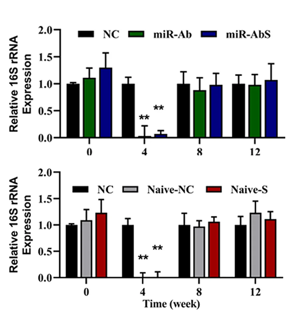 Open access visualization of Bar Plot, Error Bars, Clustered, 16S rRNA, Gene Expression
