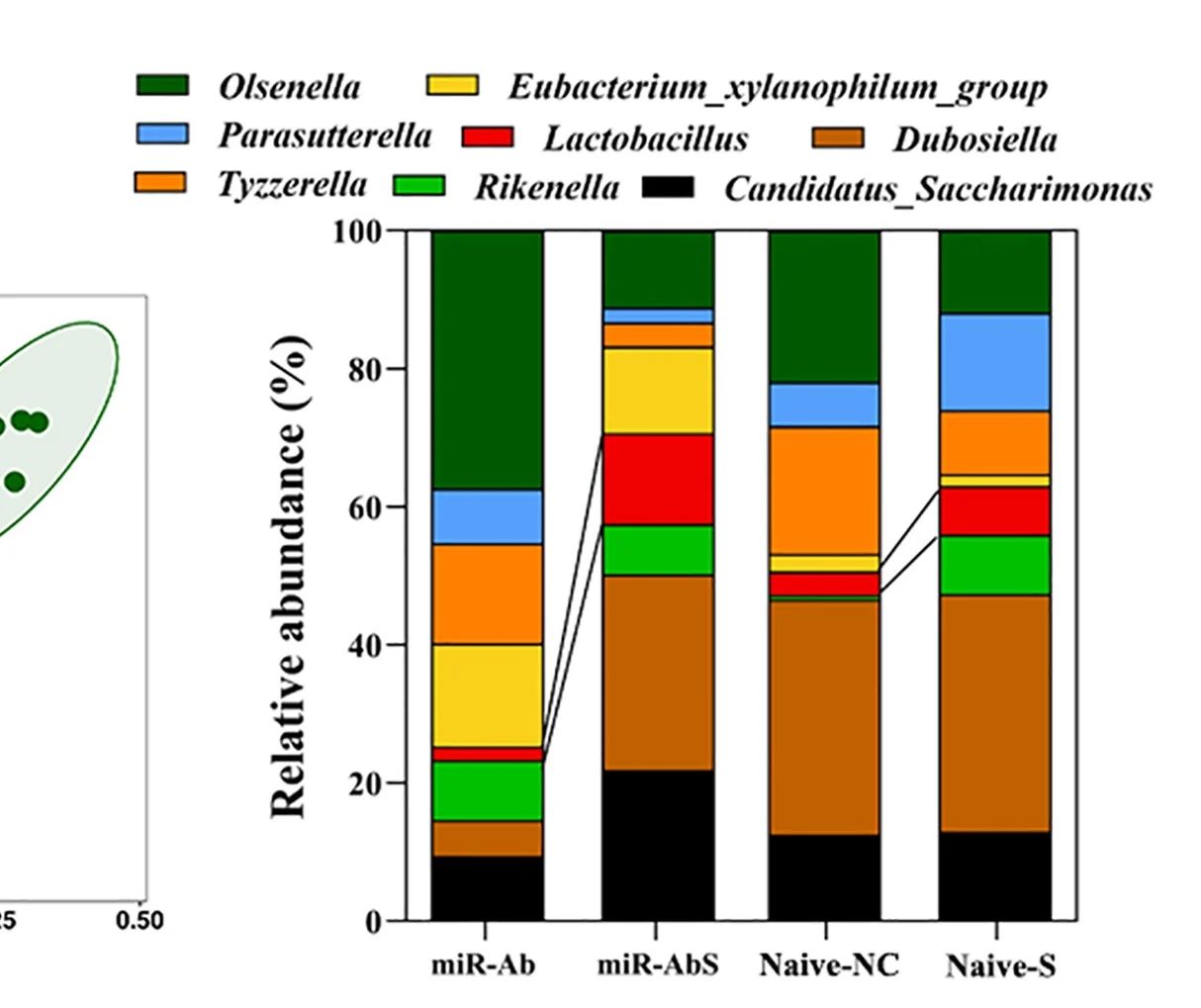 Open access visualization of Stacked Bar Plot, Scatter Plot, Genera Distribution, Antibiotics, Mice
