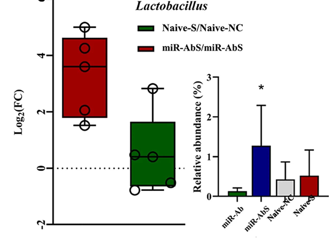 Open access visualization of Box Plot, Bar Plot, Error Bars, Change Ratio, Lactobacillus