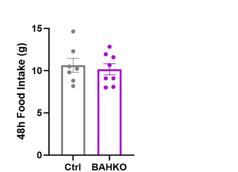 Open access visualization of Bar Plot, Error Bars, Scatter Plot, Food Intake, Control Mice