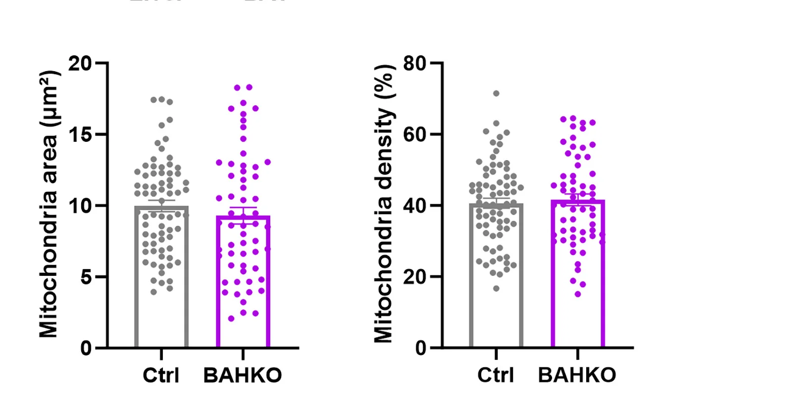 Open access visualization of Bar Plot, Scatter Plot, Error Bars, Mitochondria Area, Mitochondria Density
