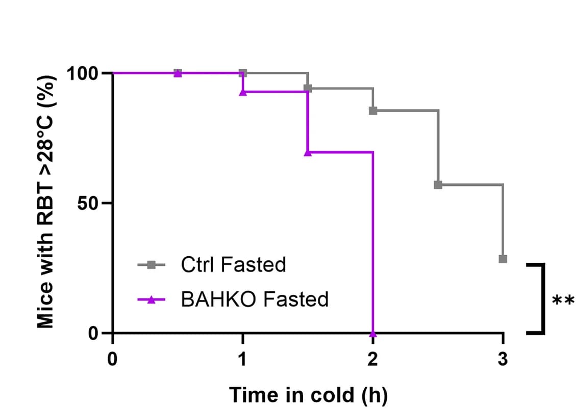 Open access visualization of Line Step, Survival Curve, Kaplan-Meier Curve, Rectal Body Temperature, Cold Exposure