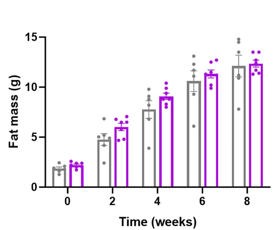 Open access visualization of Bar Plot, Error Bars, Scatter Plot, Fat Mass, Control Mice