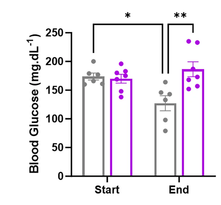 Open access visualization of Bar Plot, Error Bars, Scatter Plot, Blood Glucose, Acute Cold Exposure