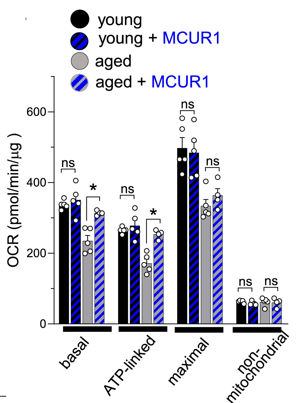 Open access visualization of Bar Plot, Error Bars, Clustered, Oxygen Consumption Rate, OCR