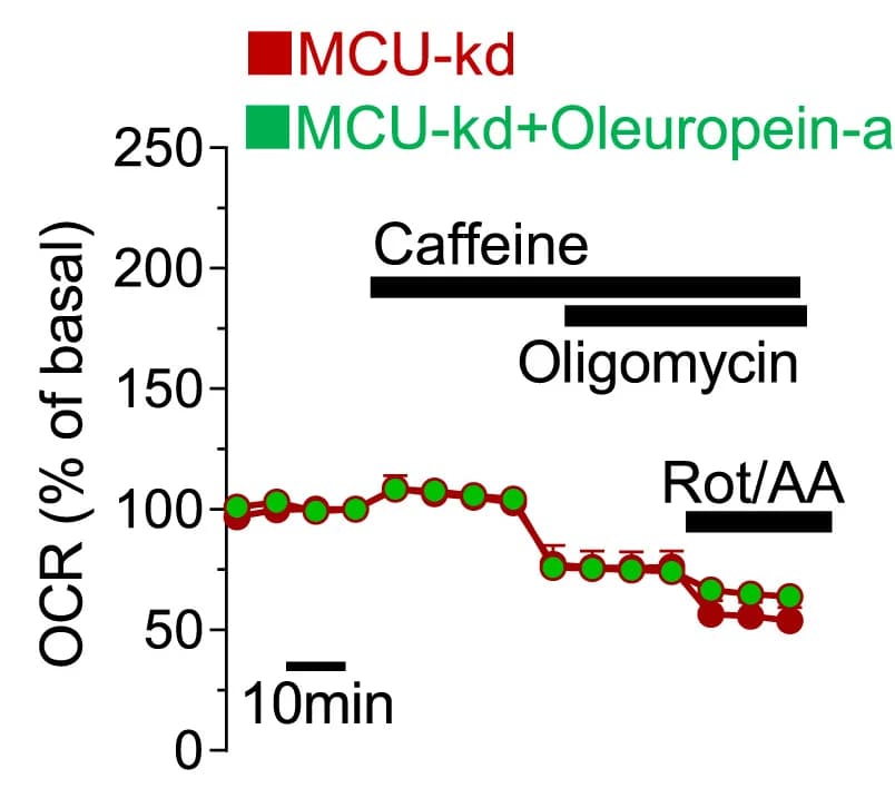 Open access visualization of Line Plot, Error Bars, OCR, MCU Knockdown, Human Myotubes
