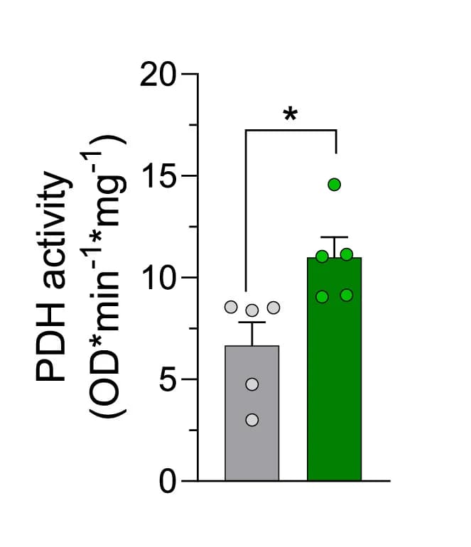 Open access visualization of Bar Plot, Error Bars, Scatter Plot, PDH Activity, PDH Enzymatic Activity