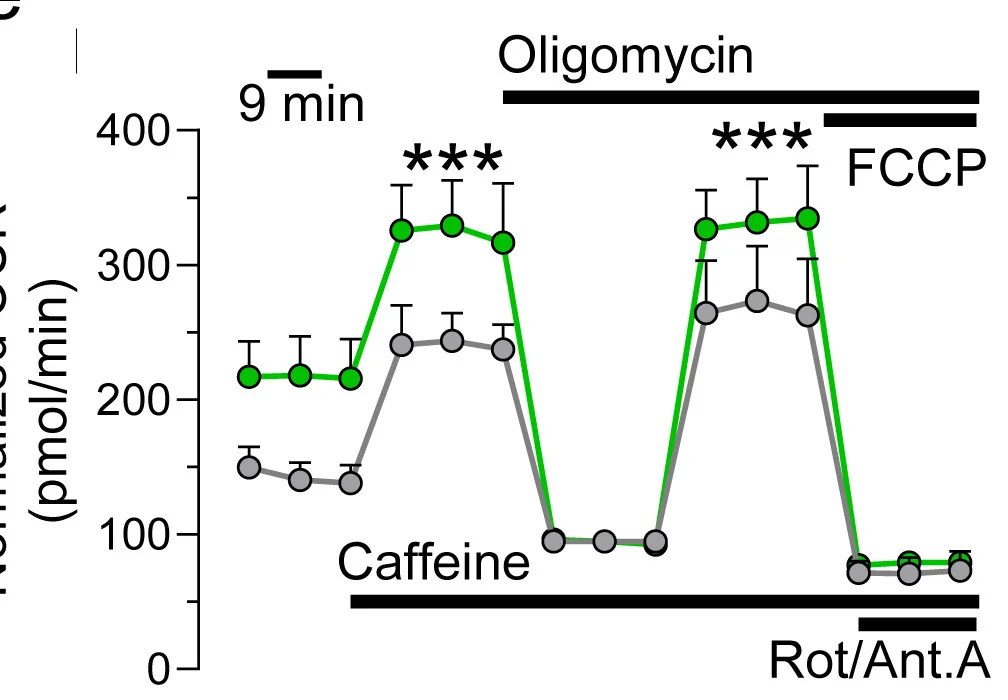 Open access visualization of Line Plot, Error Bars, Mitochondrial Respiration, OCR, Calcein Fluorescence