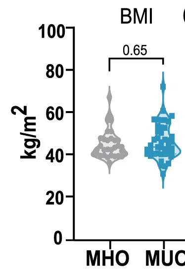Open access visualization of Violin Plot, BMI, MHO, MUO