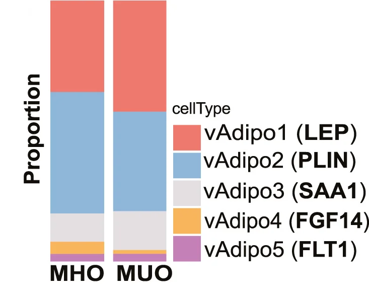 Open access visualization of Stacked Bar Plot, Bar Plot, Relative Proportions, Visceral Adipocyte, Subpopulations