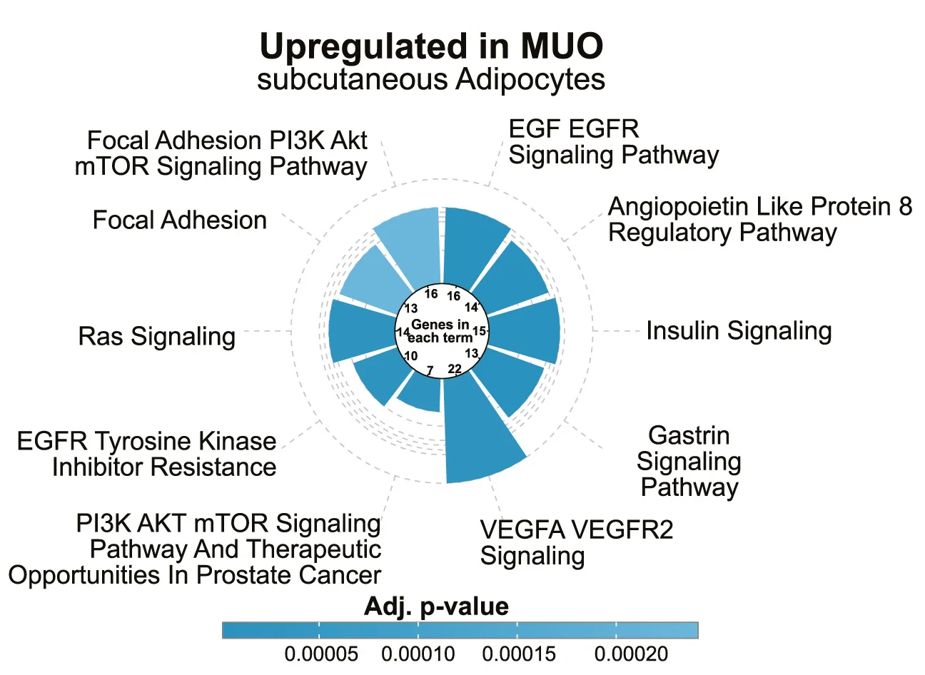 Open access visualization of Bar Plot, WikiPathways, Upregulated, Subcutaneous Adipocytes, MUO