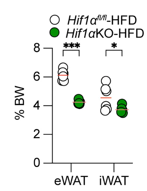 Open access visualization of Scatter Plot, eWAT, iWAT, BAT, Liver Index