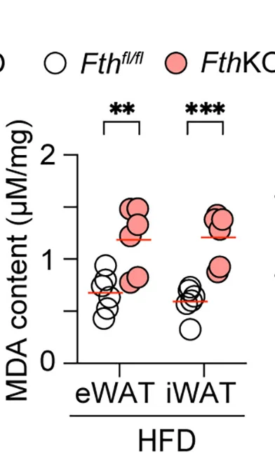 Open access visualization of Scatter Plot, Error Bars, MDA Content