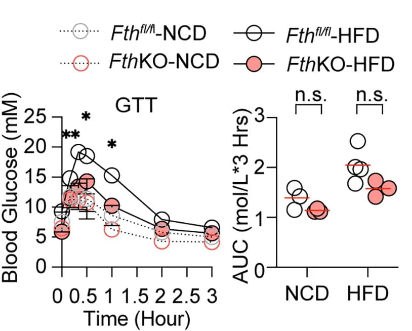 Open access visualization of Line Plot, Scatter Plot, Error Bars, GTT, ITT