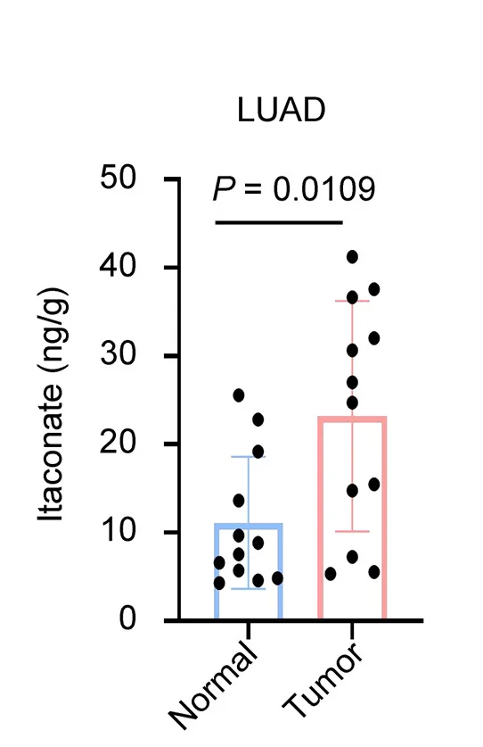 Open access visualization of Bar Plot, Error Bars, Scatter Plot, ITA Levels, Lung Cancer