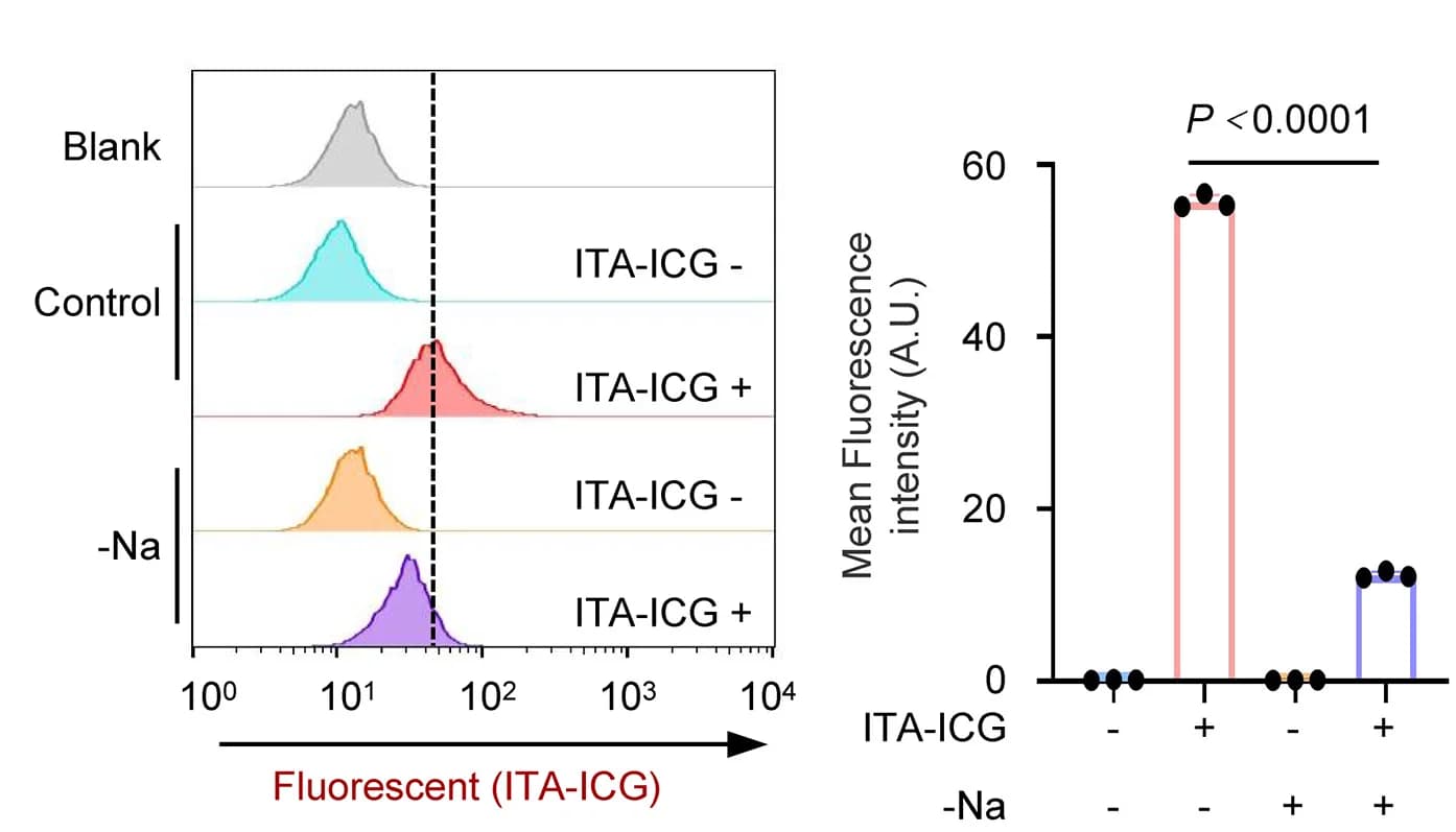 Open access visualization of Bar Plot, Density Plot, Sodium-Starved A549 Cells, Primary A549 Cells, ITA-ICG