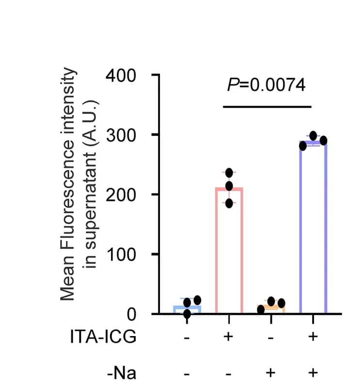 Open access visualization of Bar Plot, Error Bars, Sodium-Starved A549 Cells, Primary A549 Cells, ITA-ICG