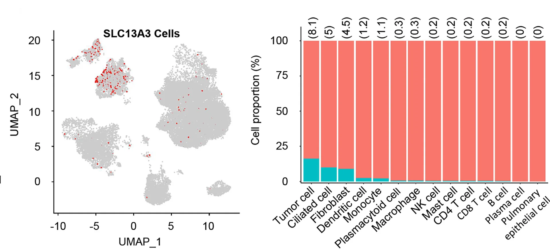 Open access visualization of UMAP, Bar Plot, Stacked Bar Plot, Uniform Manifold Approximation, Violin Plots