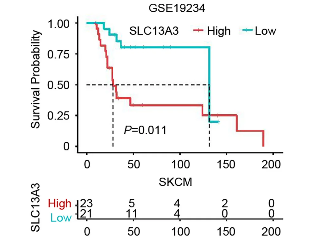 Open access visualization of Survival Curve, Line Step, Kaplan-Meier Analysis, Survival, Skin Cutaneous Melanoma